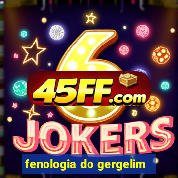 fenologia do gergelim